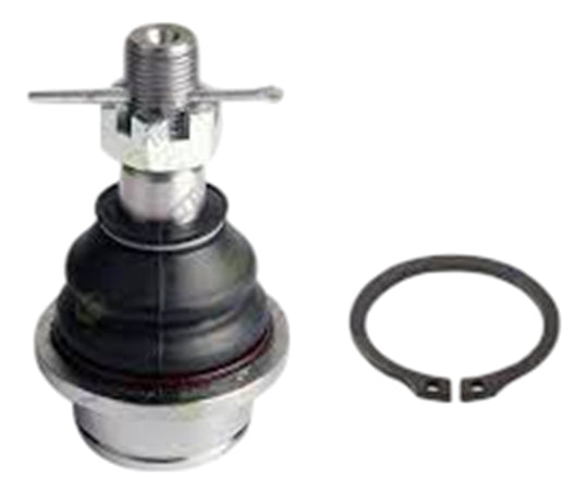 MUÑON INFERIOR  EXPLORER 95-10  SPORT TRAC 01-05  F150 FORTALEZA 97-08  RANGER 97-05  EXPEDITION 97-02  DAKOTA 05-12  MAZDA B2500 B3000 B4000 98-01